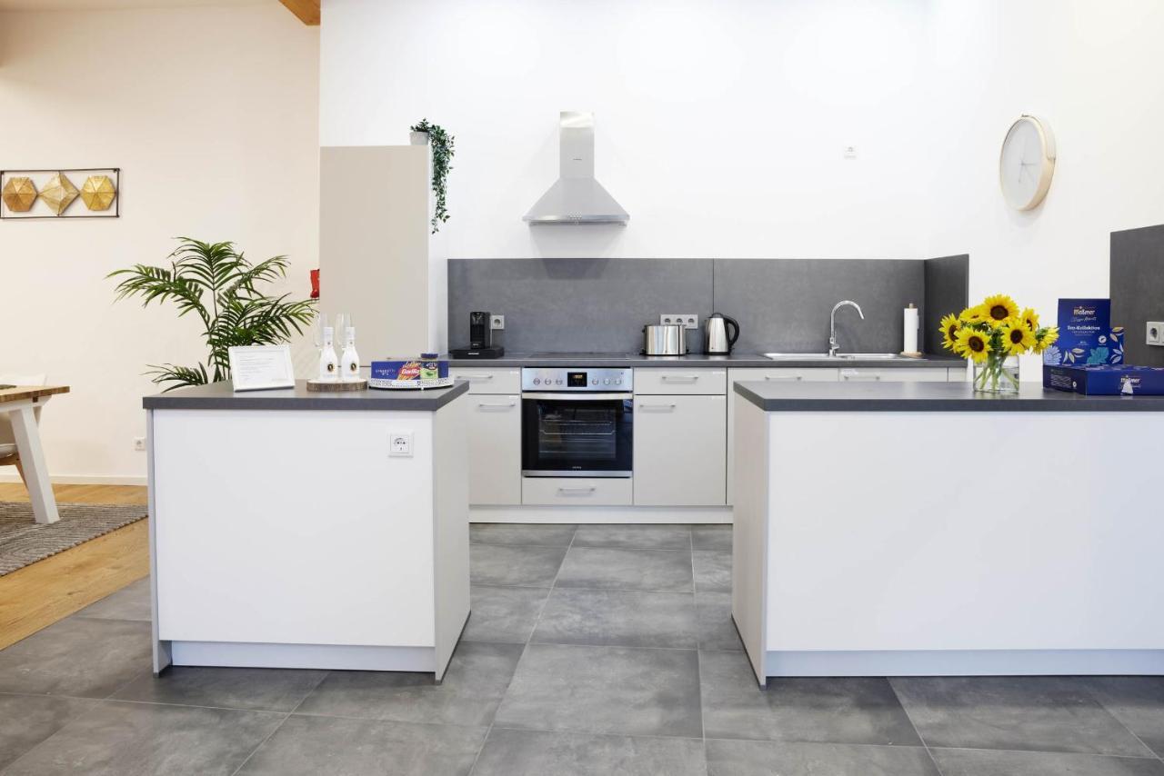Apartment Loft-apartment Mit Parkplatz Bei Heidelberg *