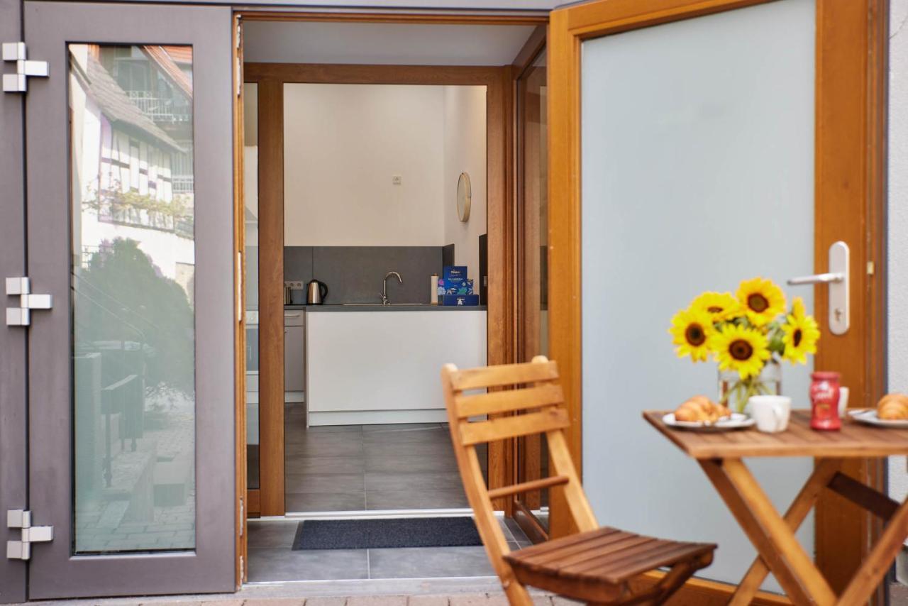 Apartment Loft-apartment Mit Parkplatz Bei Heidelberg *